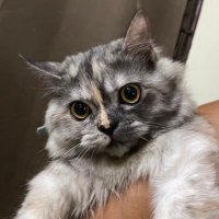 Nathalieee C. (@nathalieeec11) 's Twitter Profile