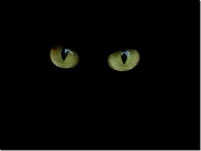 klausboeing's profile picture. 