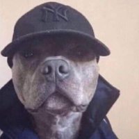 SWT Raymond (@raillon18185551) 's Twitter Profile