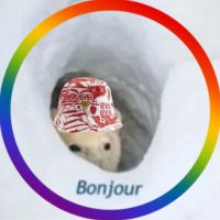 Geflügelhasser 🇵🇸🇱🇧🇿🇦🏴 | Porsche raus (@geesearemean) 's Twitter Profile Photo