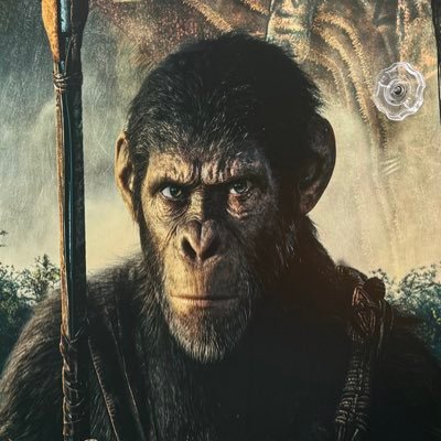 MrJerryNolan's profile picture. call it as it is