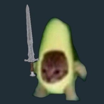 hailarius's profile picture.