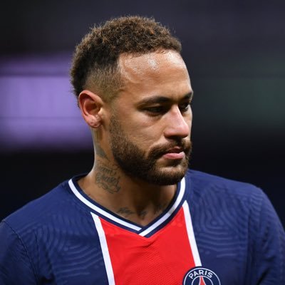 spaartannl2's profile picture. @PSG_inside