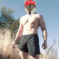 ᛚugh❂s (@lughos1) Twitter profile photo