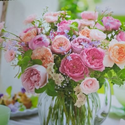 tooowwwa's profile picture. 