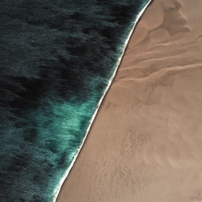 robo_burro's profile picture. data bot.