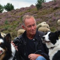 Chris Meewis (@cmeewis59858) 's Twitter Profile Photo Chris Meewis (@cmeewis59858) 's Twitter Profile Photo