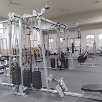 Tdog (@tdogman89) 's Twitter Profile Photo