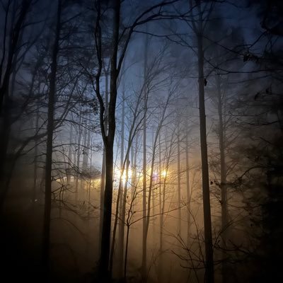 305Cub's profile picture. 