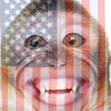 🇺🇸 MAGA Patriot 🇺🇸 Digital Soldier, 1st Memetic Warfare Div., GOD Wins, WWG1WGA