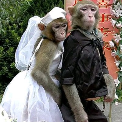 AjigoFireman's profile picture. Philanthropist, coach, interested in politics.