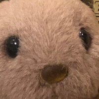 ももちゃん (@momo19980717) Twitter profile photo