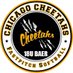 Chicago Cheetahs 18u Baer (@CheetahsBaer) Twitter profile photo