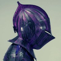 Bloomsabre (@knightsnflowers) 's Twitter Profile Photo