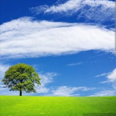 2019Kimyac's profile picture. 