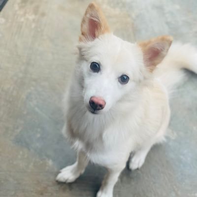 mighty_exchange's profile picture. 