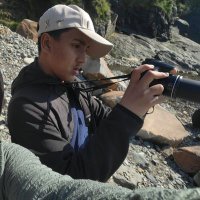 Juvenile Birder (@bird3r) 's Twitter Profile