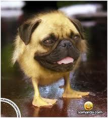 Fatafaaaa's profile picture. FAAAAAAAAAAAAAAAAAAAA