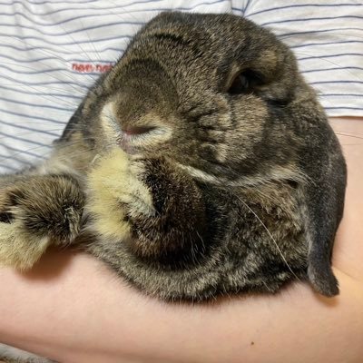 弱者（えび）さんのプロフィール画像