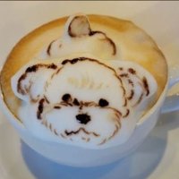 🩷ĵü§ťmë🌸🌸 (@dk_axela_ilacad) 's Twitter Profile