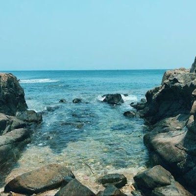 NguynQu33012794's profile picture. 