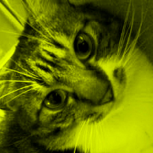 snug_nobu's profile picture. snug.のモノ書き担当。家族は夫と息子（11歳）、ネコ（トラ・15歳永眠・♂）。おいしいものとか海外ミステリとかホラー映画とか。