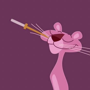 __curio's profile picture. 