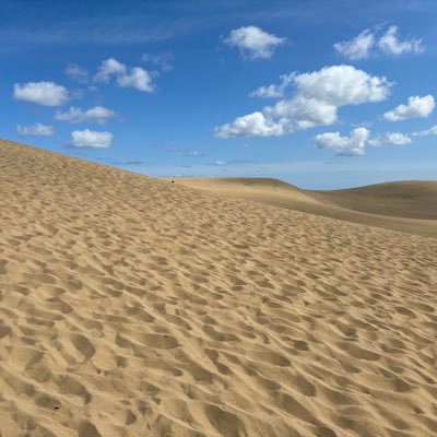 たぶん営業部所属なのに毎日ジオラマ作りしているどこかのメーカー社員 とどこかのレンタルレイアウト制作監修者