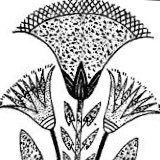 Dr Salah Morsy (@dr_salah_morsy) Twitter profile photo