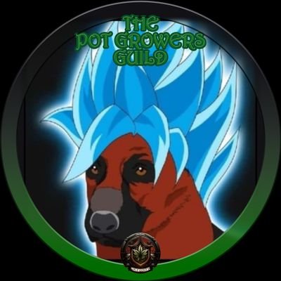 @lochnesssociety for all the dankness
@DogSanctuaryNft
https://t.co/kSdkPqJR3f
for all your pups needs