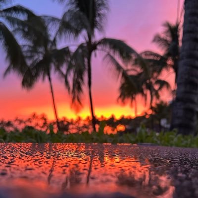 robspears_4's profile picture. 