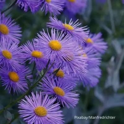 birabira34's profile picture. for bright only