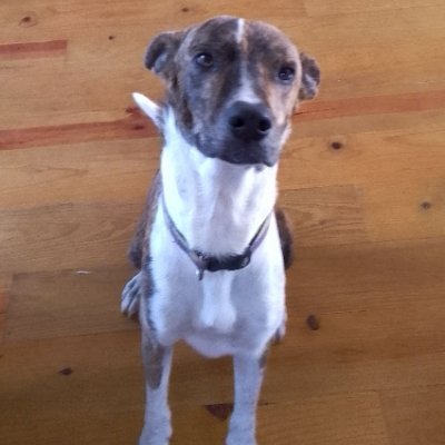 sminco123's profile picture. Regular guy. Living, loving the dream.