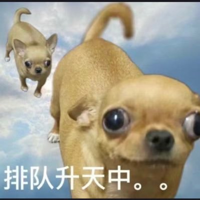 frankwhite2638's profile picture. 