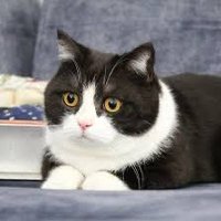 T (@wptmgpmpwp) Twitter profile photo