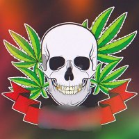 THE GALLERY LA (@high_vibez01) 's Twitter Profile