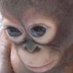 Tames (@sebtames) Twitter profile photo Tames (@sebtames) Twitter profile photo