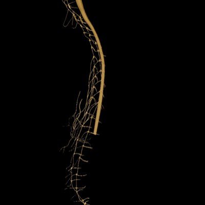 Spinalnerve1069's profile picture. 