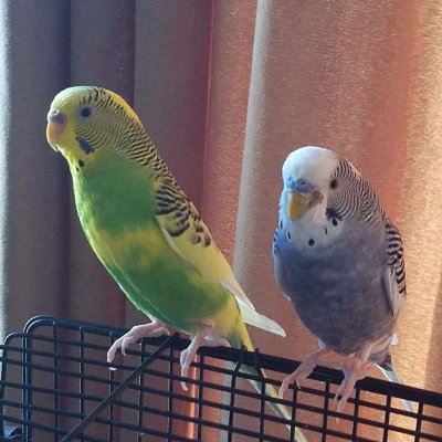 chiqui_drama's profile picture. Catholic| Gen Z | Proud Latina