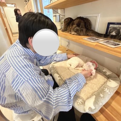 こさんのプロフィール画像