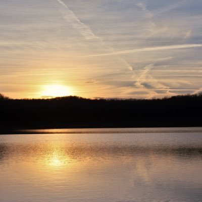 grayson_buki's profile picture. learning by doing