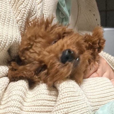 とおるさんのプロフィール画像
