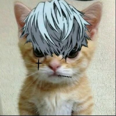 sigmax__'s profile picture. 