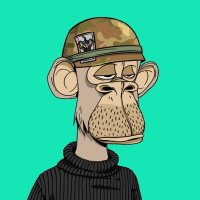 NFTCAT (@nftcat25365) Twitter profile photo