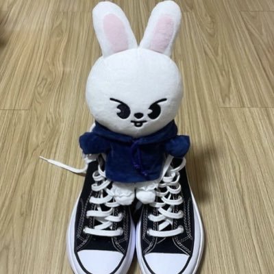 Andre ⭐️ SKZ en México ✨╰(◡‿◡✿╰)さんのプロフィール画像