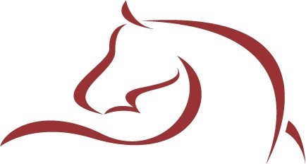 Dedicated Equine Vets. Fully equipped clinic, full out of hours service 365 days per year. Friendly, professional team.