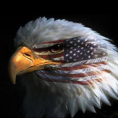 American Patriot, Constitution Follower, Keeper of the Common Sense