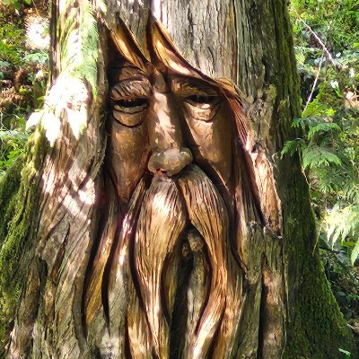 Tree Beard