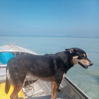 Brad Walker (@bradwal34812052) 's Twitter Profile Photo