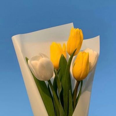 miyumiyu200055's profile picture. 学生👩‍🎓❤︎ 映画＆ドラマ好き🫶🏻爆弾　ストロベリームーン🌙🤍✨- 映画館のスクリーン,椅子,空間,ポップコーンの匂い 何もかもがたまらなく好き 横浜流星 齋藤潤  長澤まさみ 松岡茉優  杉咲花 満島ひかり 天海祐希 様達が出てる作品をメインに色んな作品見てます！名探偵コナン💗